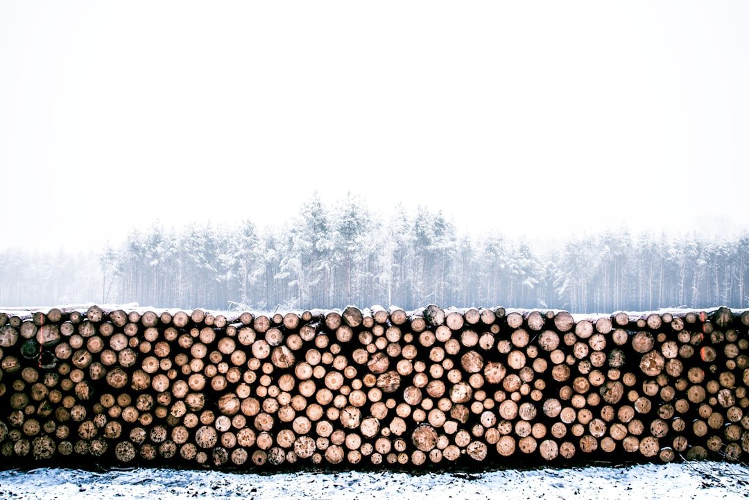Immagine per Test di un Sistema di Logging: Guida Completa